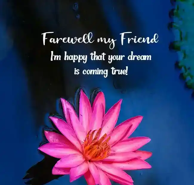friend going to abroad quotes