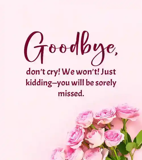 funny wishes for farewell