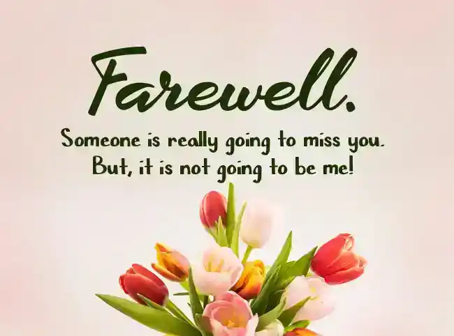 funny farewell message