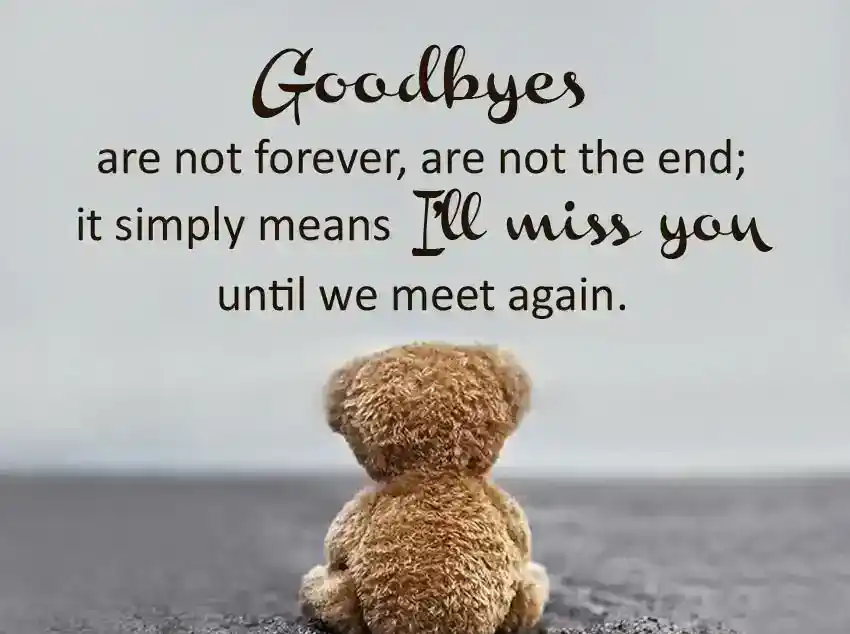 Goodbye Messages for Friends