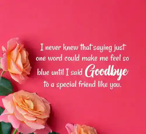 farewell message to friend