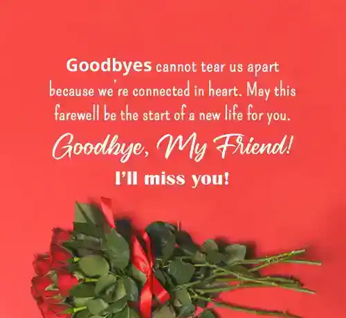 Long Goodbye Messages For Friends