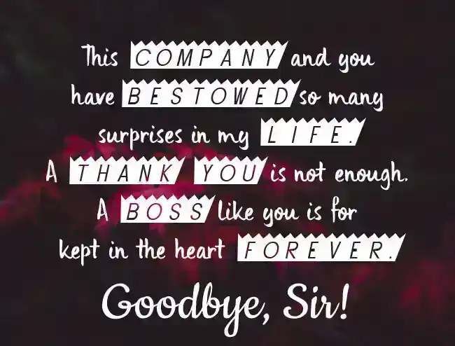 Goodbye Messages To Senior When Leaving Company