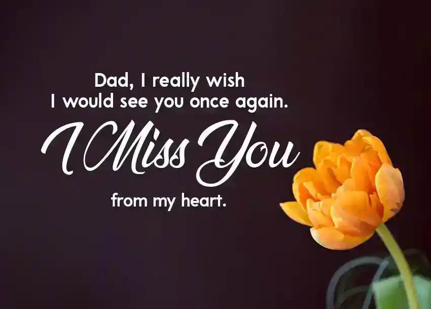 I Miss You Messages For Dad After Death From Daughter