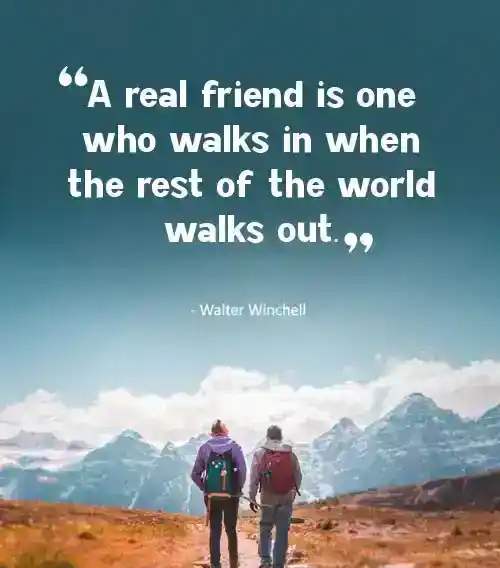 true friendship quotes