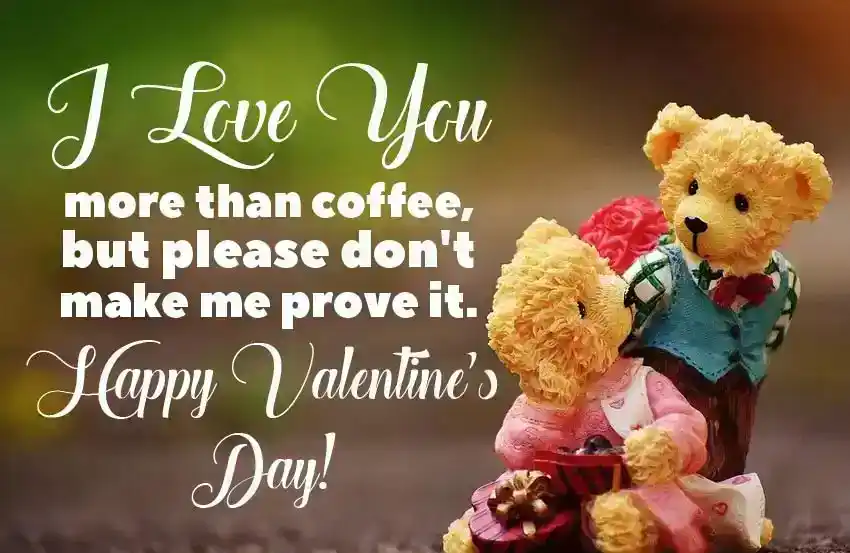 Funny Valentines Day Card Messages