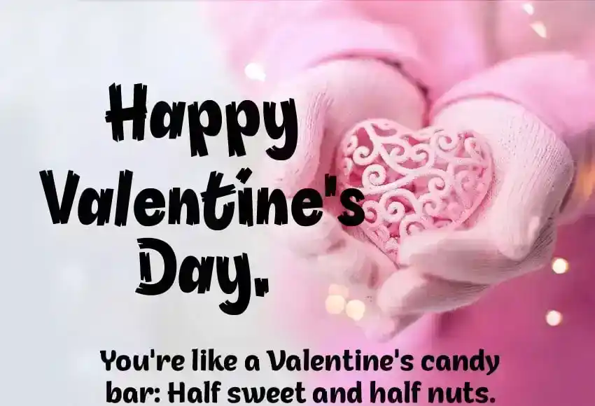 Funny Valentine Day Messages for Friends