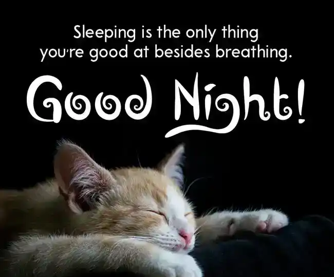 Funny-Good-Night-Messages-for-friends