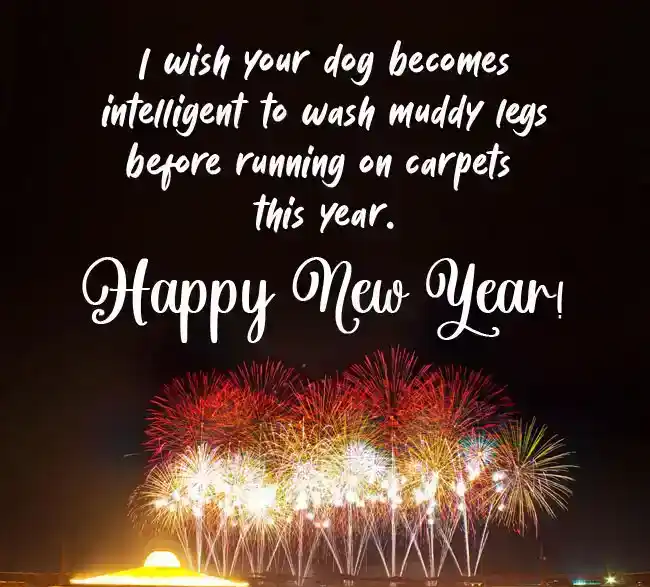 funny happy new year wishes