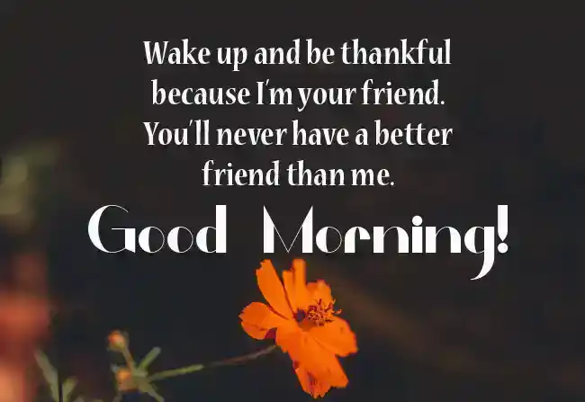 Funny Good Morning Wishes for Friend