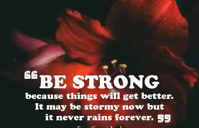 Surgery Quotes