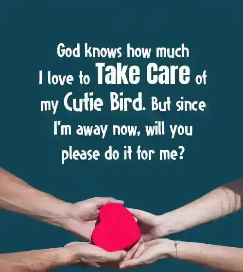 take care quotes for gf
