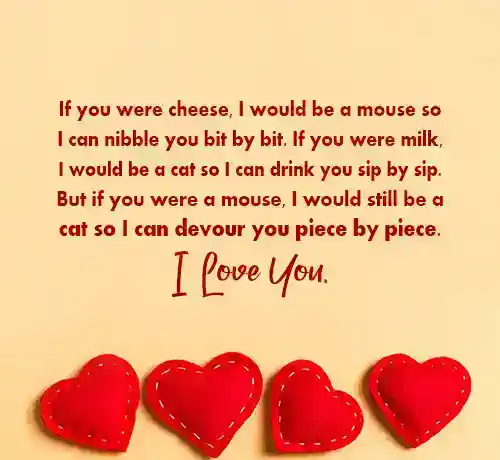 Flirty and Funny Paragraph for Her