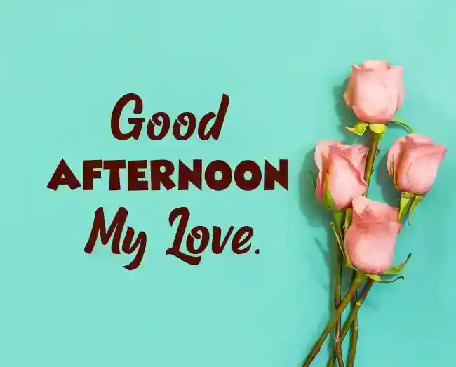 good afternoon my love