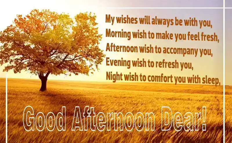 Best good afternoon quotes messages