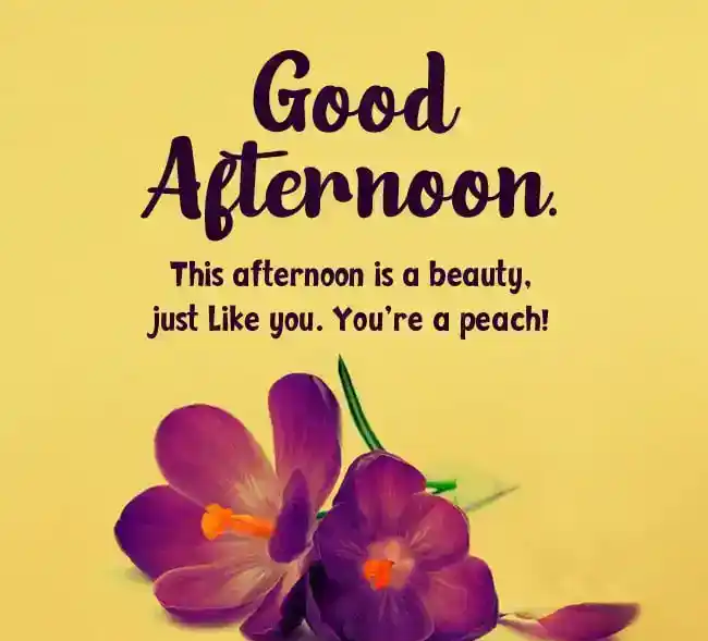 good afternoon quotes