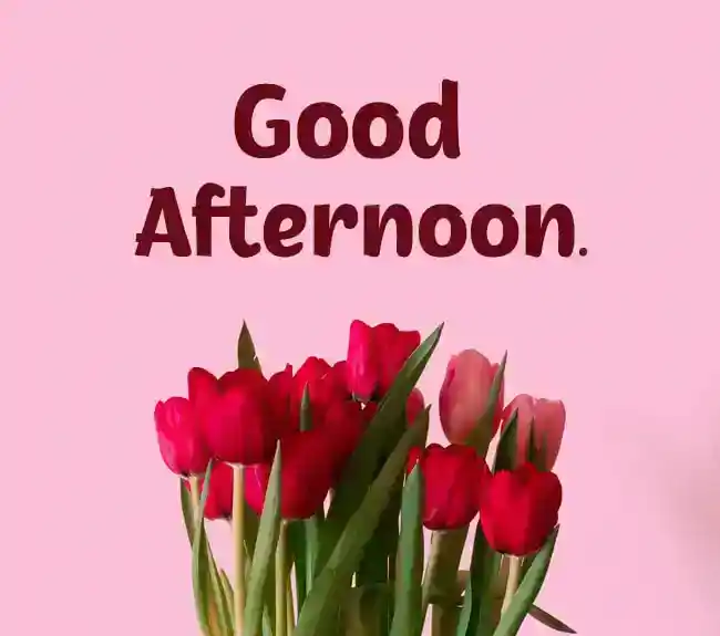 good afternoon