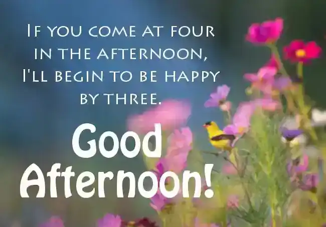 Funny Good Afternoon Texts for Her