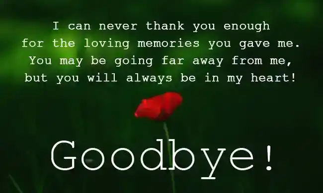Heartfelt Goodbye Messages