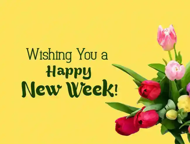 happy new week