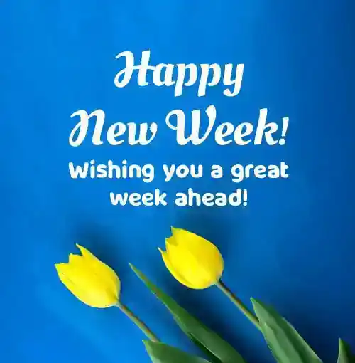 wishing you a great week ahead