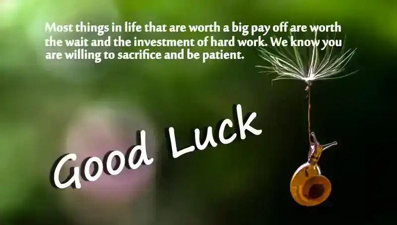 good luck messages