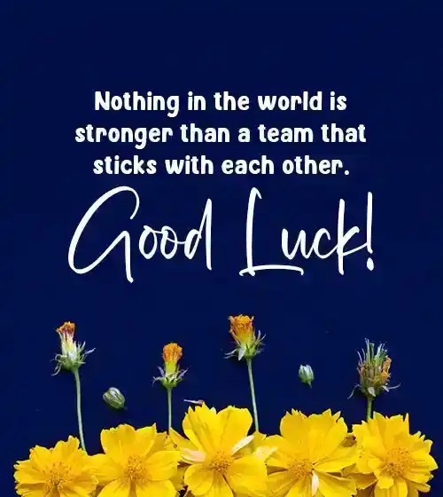 Good Luck Wishes for Team