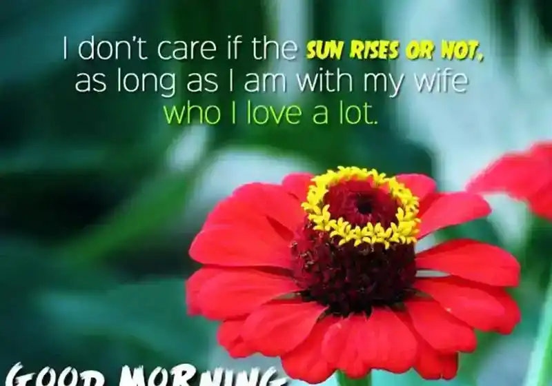 Lovely good morning message for wife