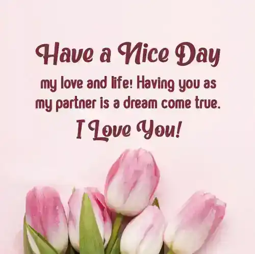 have a nice day message to my love