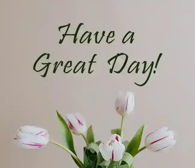 Have-a-Great-Day