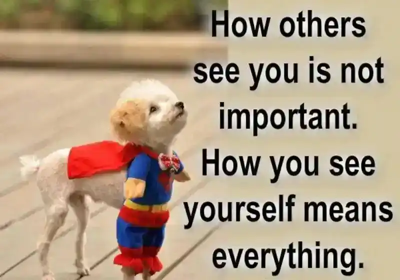 motivational-advice-messages-and-quotes