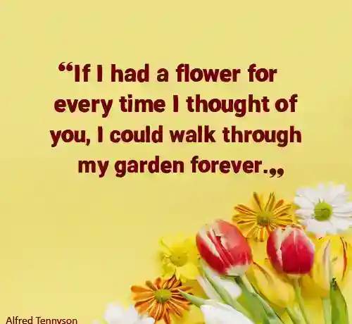 true love quotes
