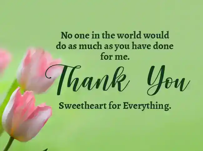 thank you message to my love