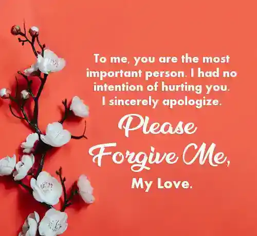 Forgiveness Messages for Lover