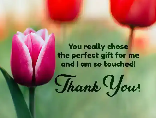 thank you for the gift