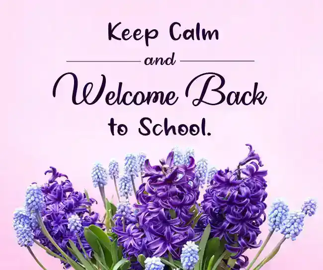 Welcome Back to School Messages