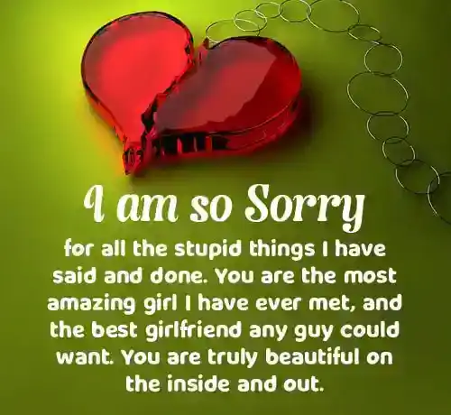 apology paragraph for her