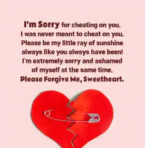 heart touching sorry paragraphs for her