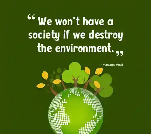 World Environment Day Quotes