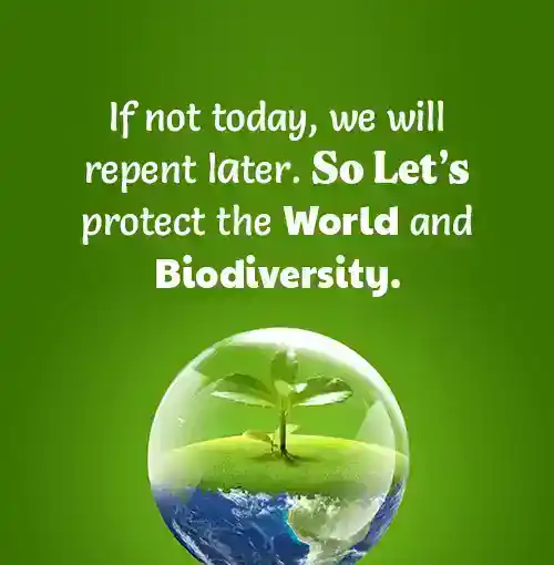 World Environment Day Awareness Message