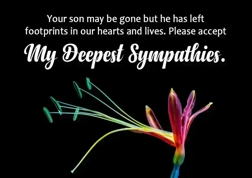 Sympathy for Loss of Grown Up or Adult Son