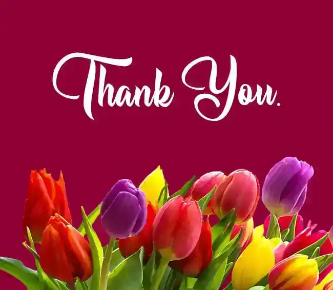 Thank You Card Message
