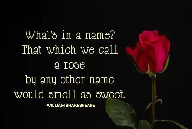 Rose-Day-Quotes