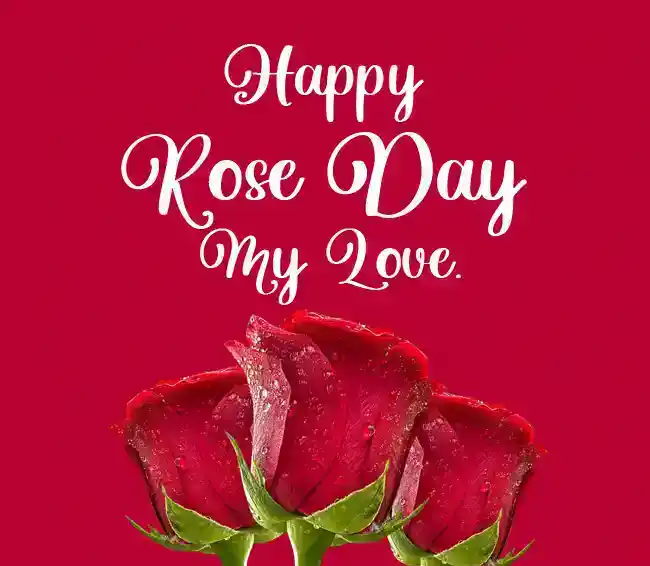 Happy-Rose-Day-My-Love