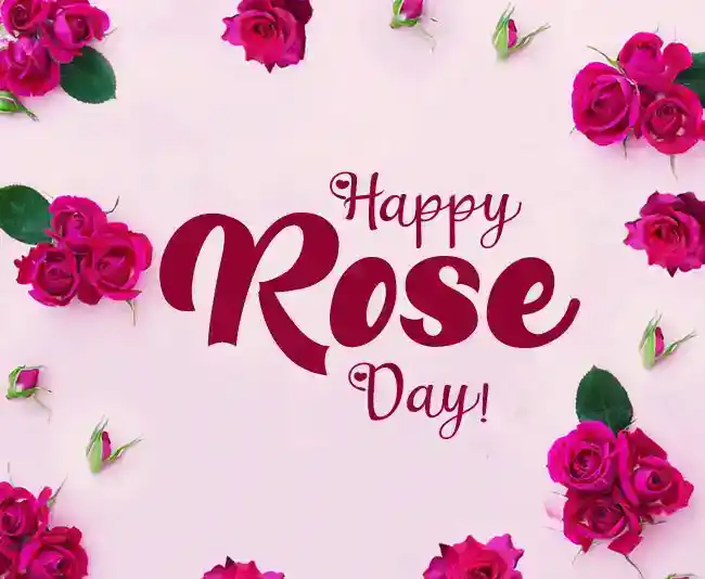 Happy-Rose-Day