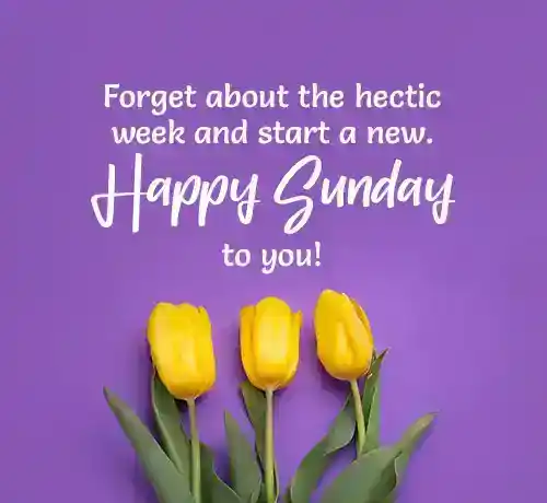 happy sunday message
