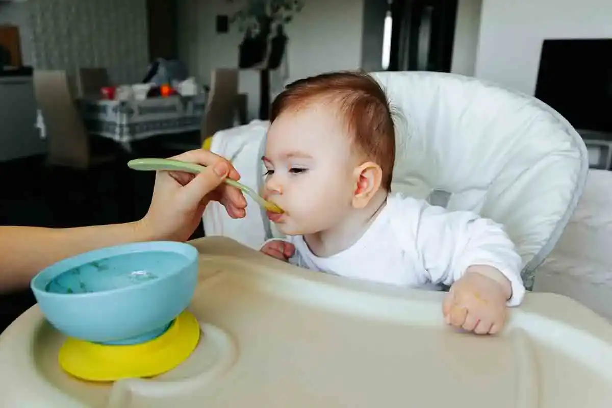 Baby Food Subscription Box