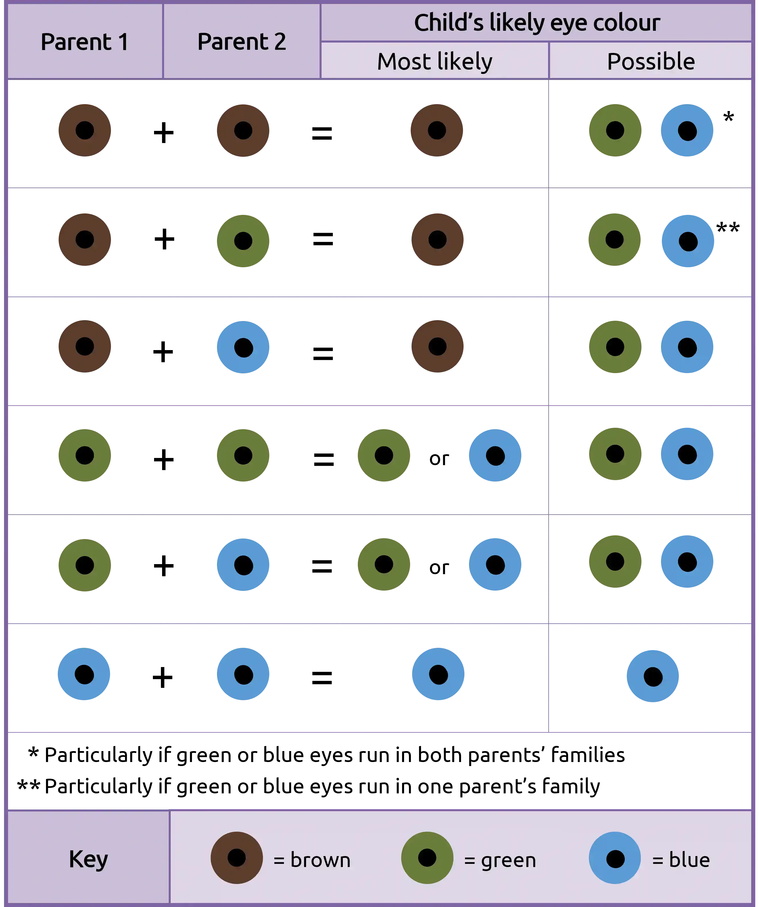 Probabilidade de olhos azuis: uma explicação genética
