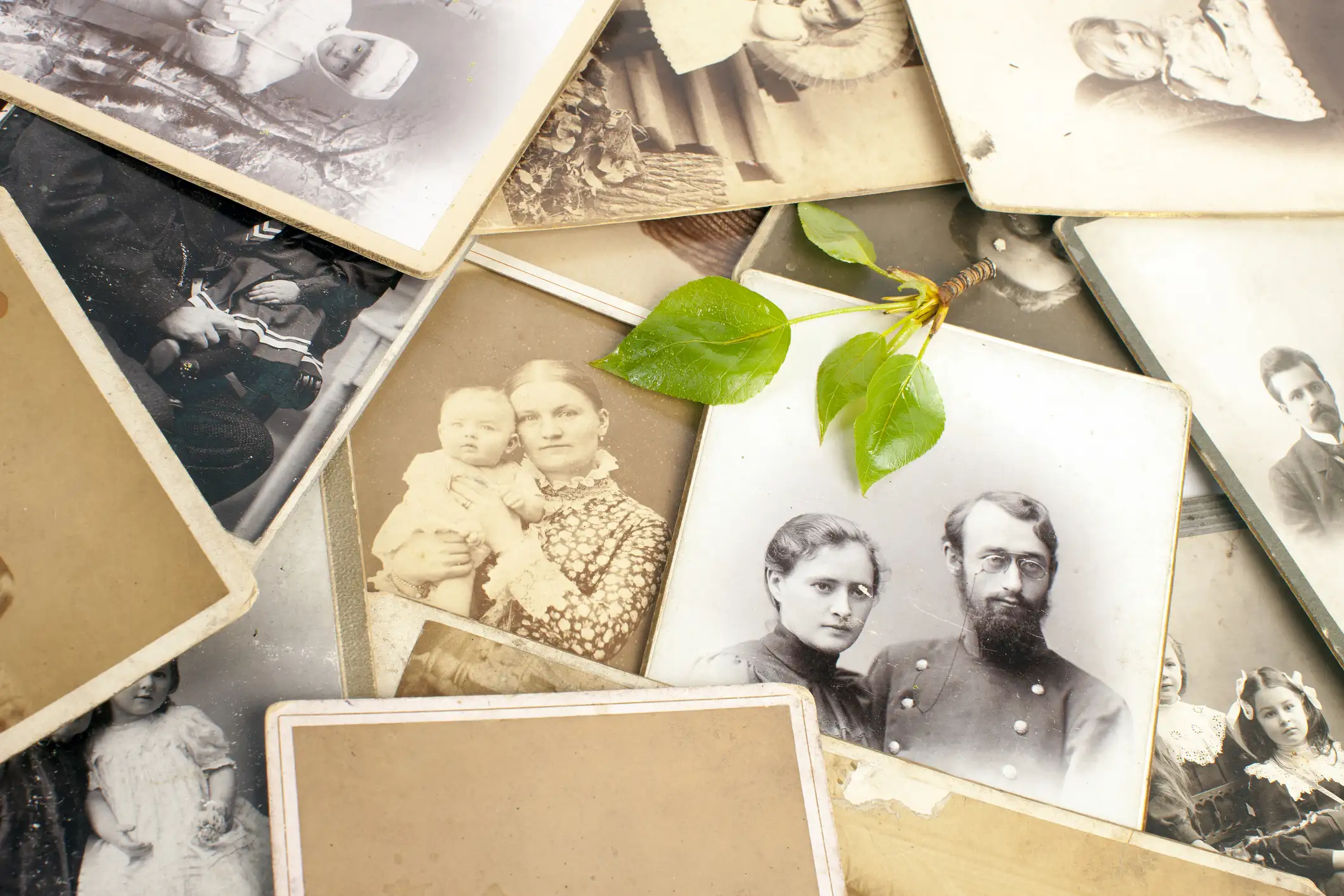 slektstre og genealogi