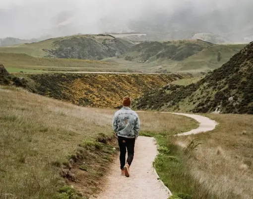 Whats the Meaning of 2020